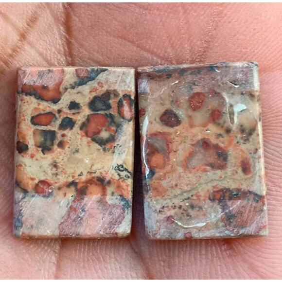 Matched Pair of Asteroid Jasper Cabochons! - Picture 2 of 2